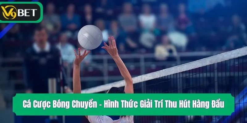 Cá Cược Bóng Chuyền – Hình Thức Giải Trí Thu Hút Hàng Đầu