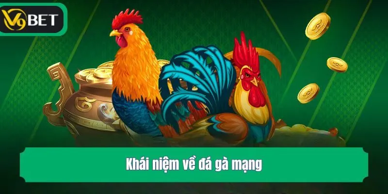 Khái niệm về đá gà mạng