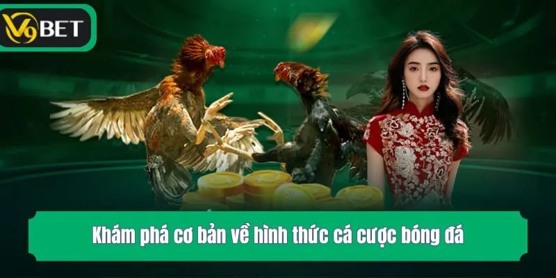 Khám phá cơ bản về hình thức cá cược bóng đá