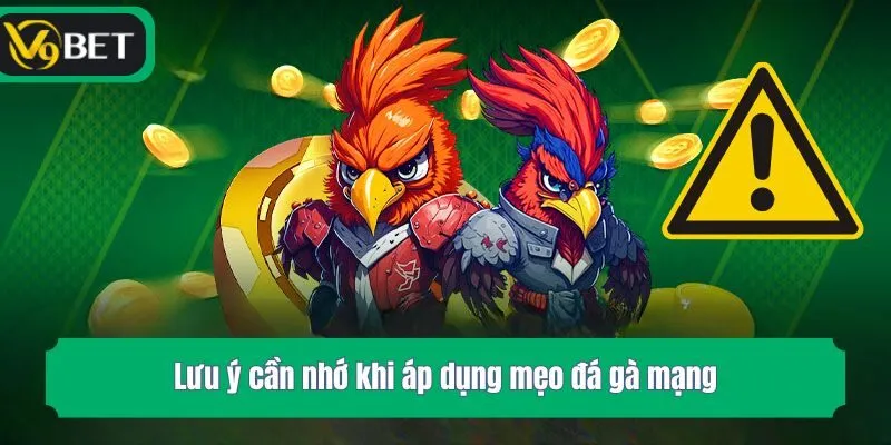 Lưu ý cần nhớ khi áp dụng mẹo đá gà mạng