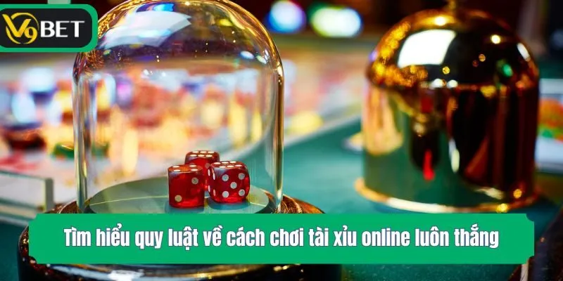 Tìm hiểu quy luật về cách chơi tài xỉu online luôn thắng
