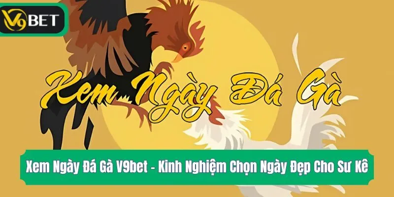 Xem Ngày Đá Gà V9bet - Kinh Nghiệm Chọn Ngày Đẹp Cho Sư Kê